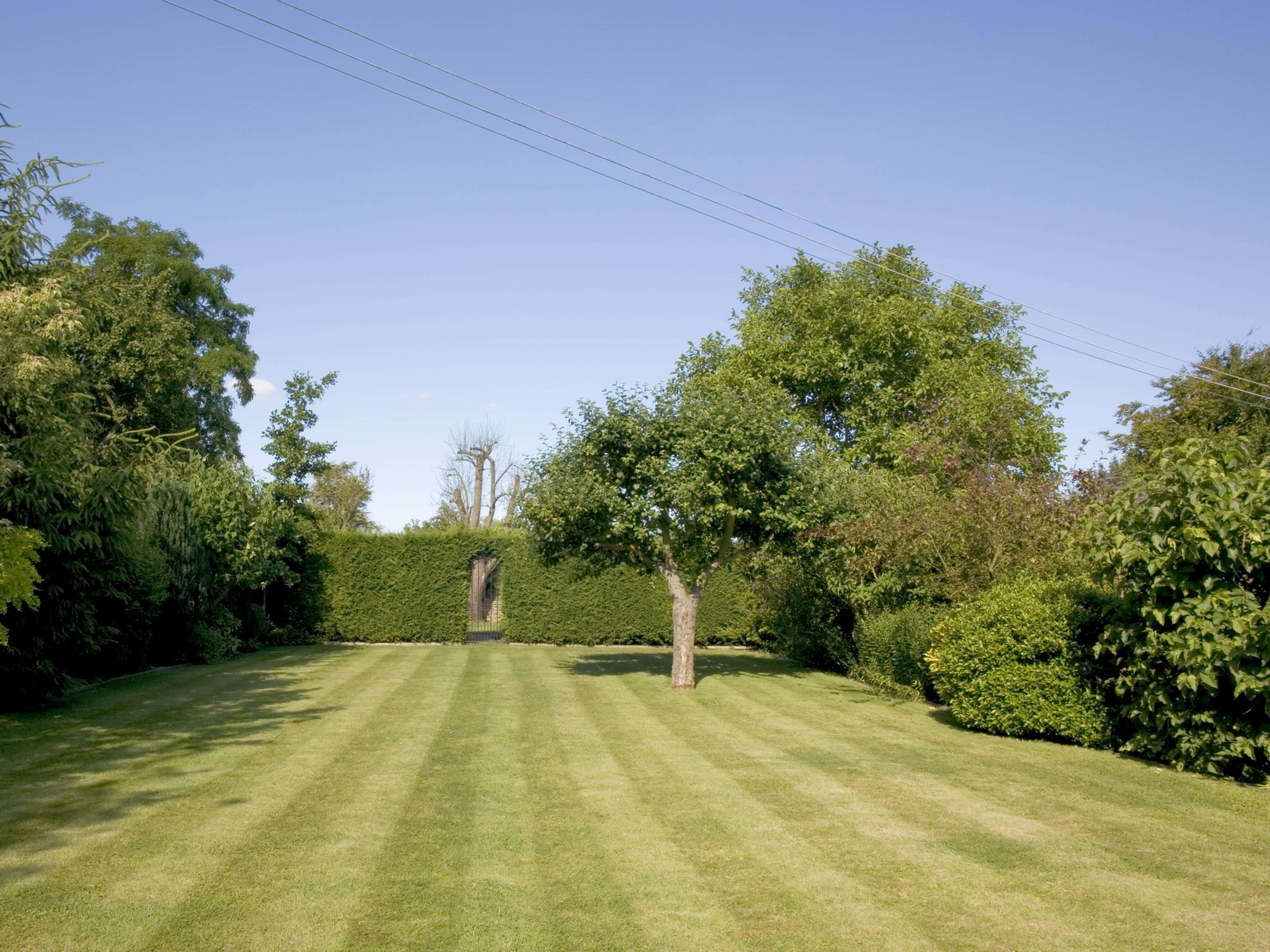 Lawn Mowing/Hedge Trimming Purley CR8