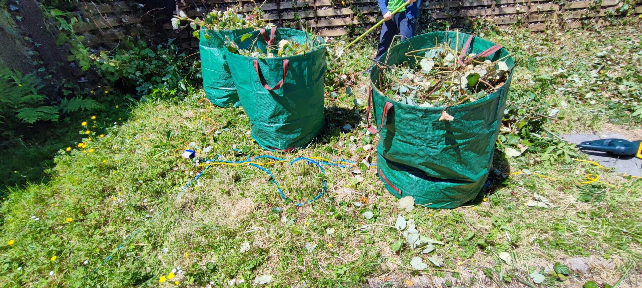 Green Waste Removals Purley CR8