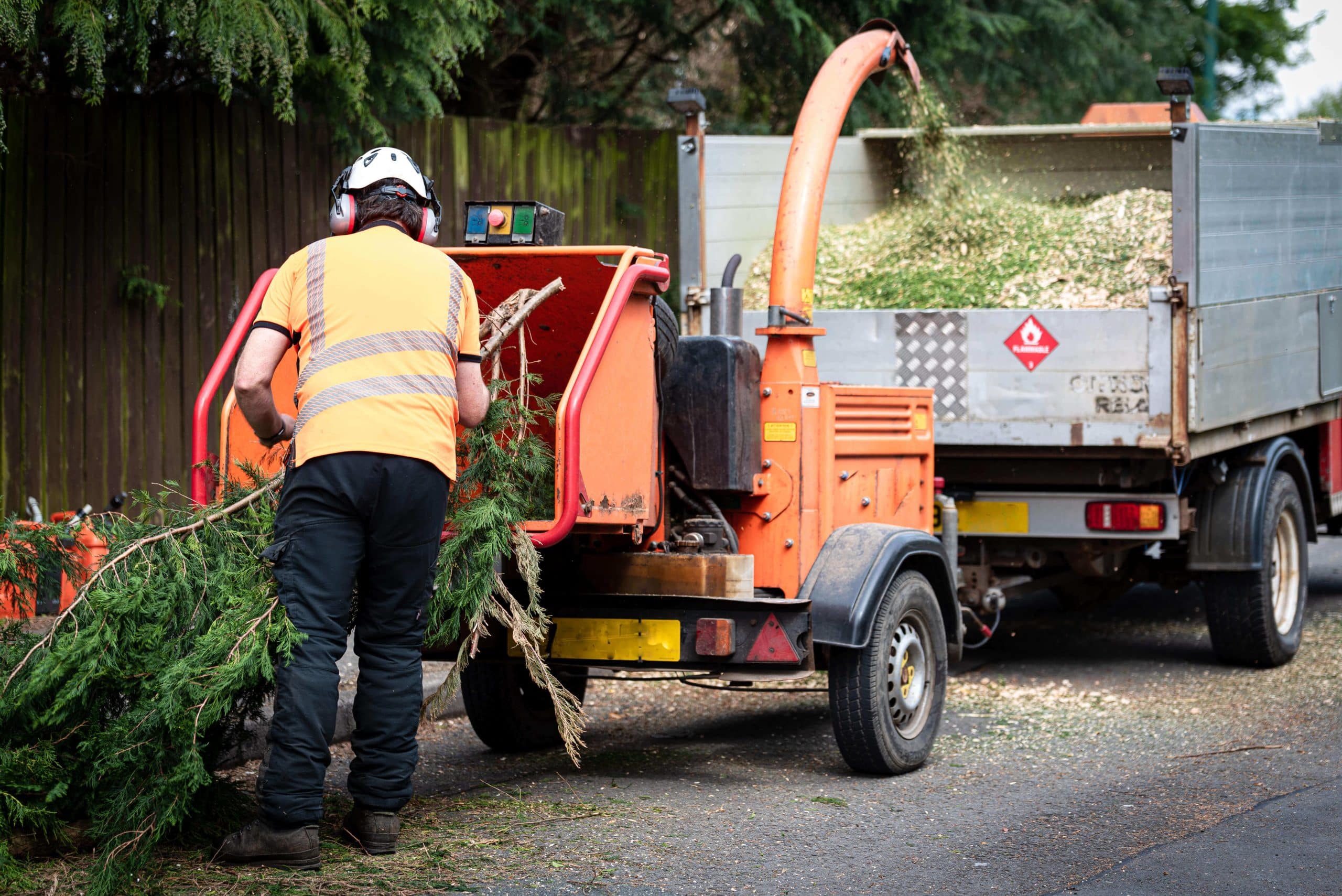 Tree Stump Grinding/Removal Purley CR8